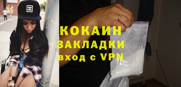 шишки Слюдянка