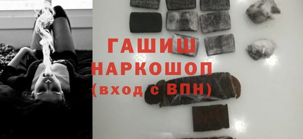 шишки Слюдянка