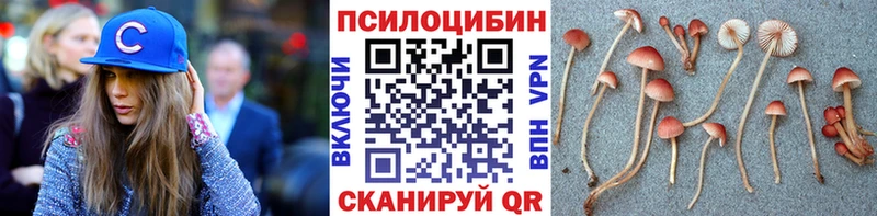 где купить наркоту  Ува  mega как войти  Псилоцибиновые грибы Cubensis 