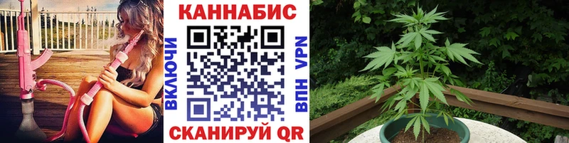 ОМГ ОМГ сайт  Ува  Марихуана Amnesia 